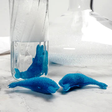 S/3 Dolphin Bottle Sponge