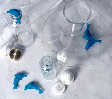 S/3 Dolphin Bottle Sponge