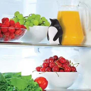 Penguin Fridge Deodorizer