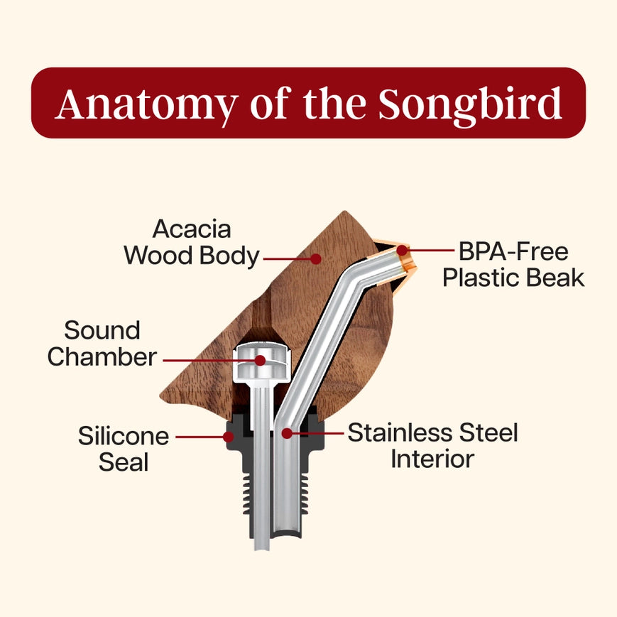 Songbird Wine Bottle Pourer Turquoise