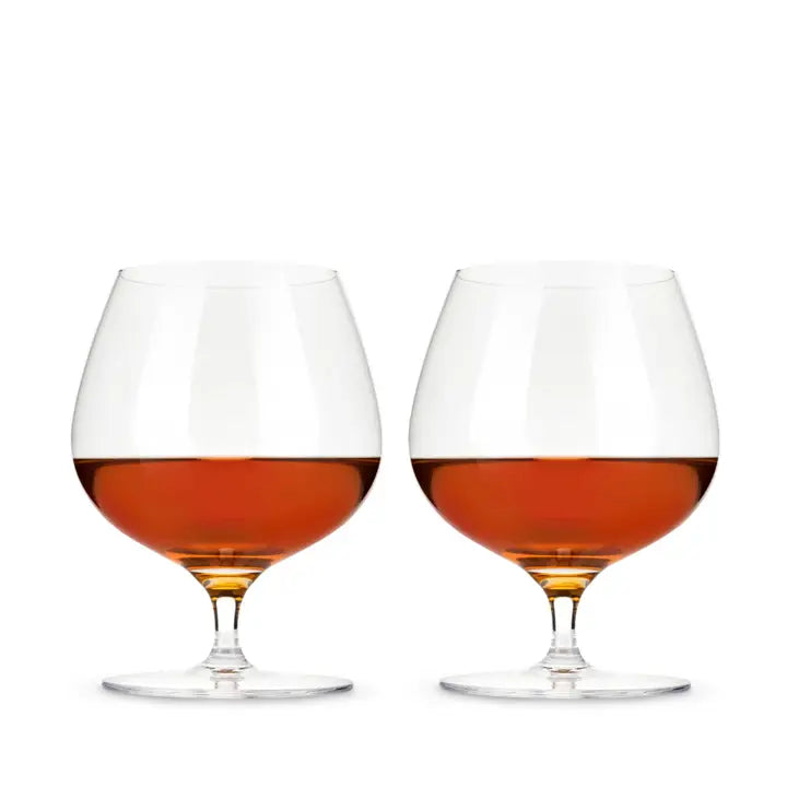 S/2 Raye Crystal Brandy Glasses