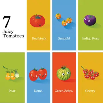 Little Book of Tomatoes