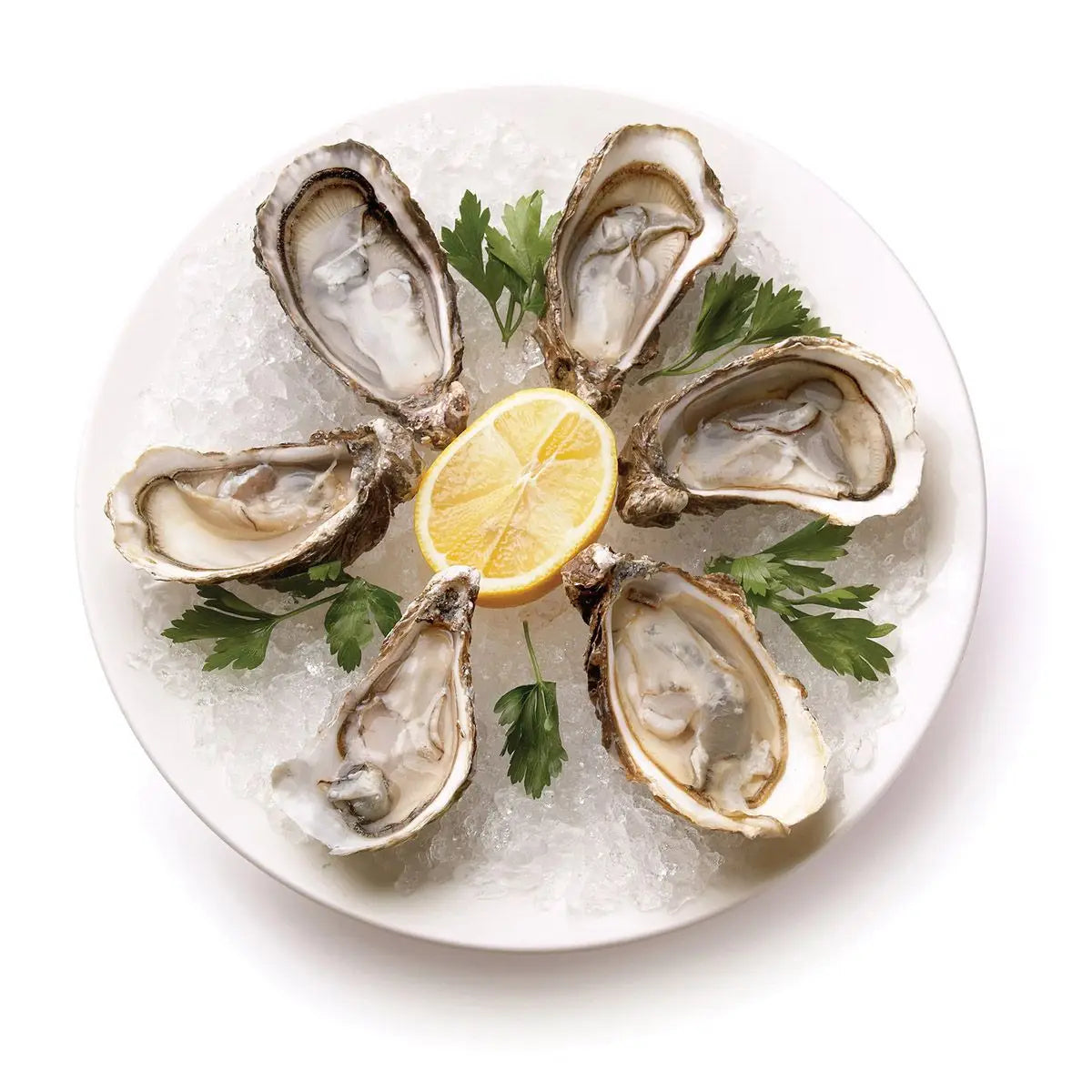 Dexter Oyster Knife WD S/S