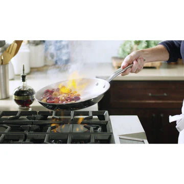 Titanium 10.5" Fry Pan