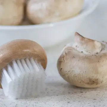 FR Mushroom Brush