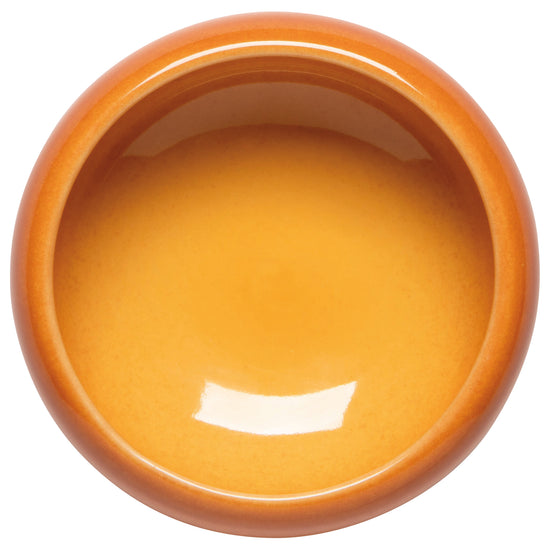 Canyon Opus Dish
