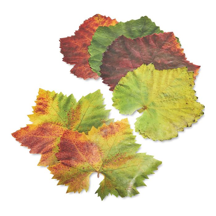 Parchment Grape Leaves, Cheese