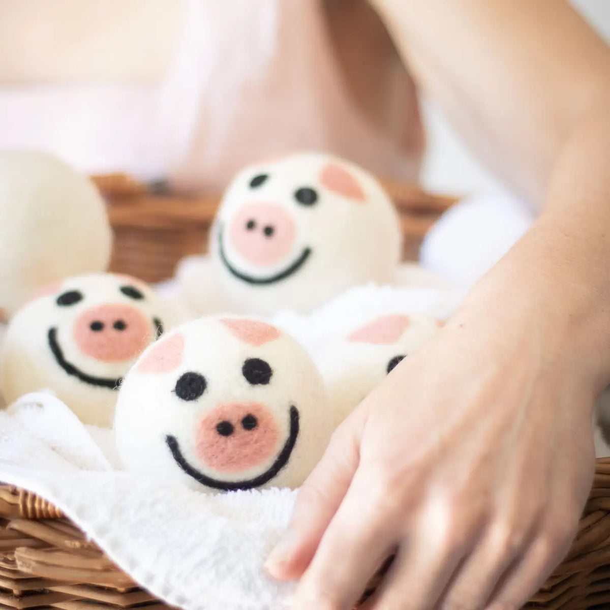Dryer Ball Pig
