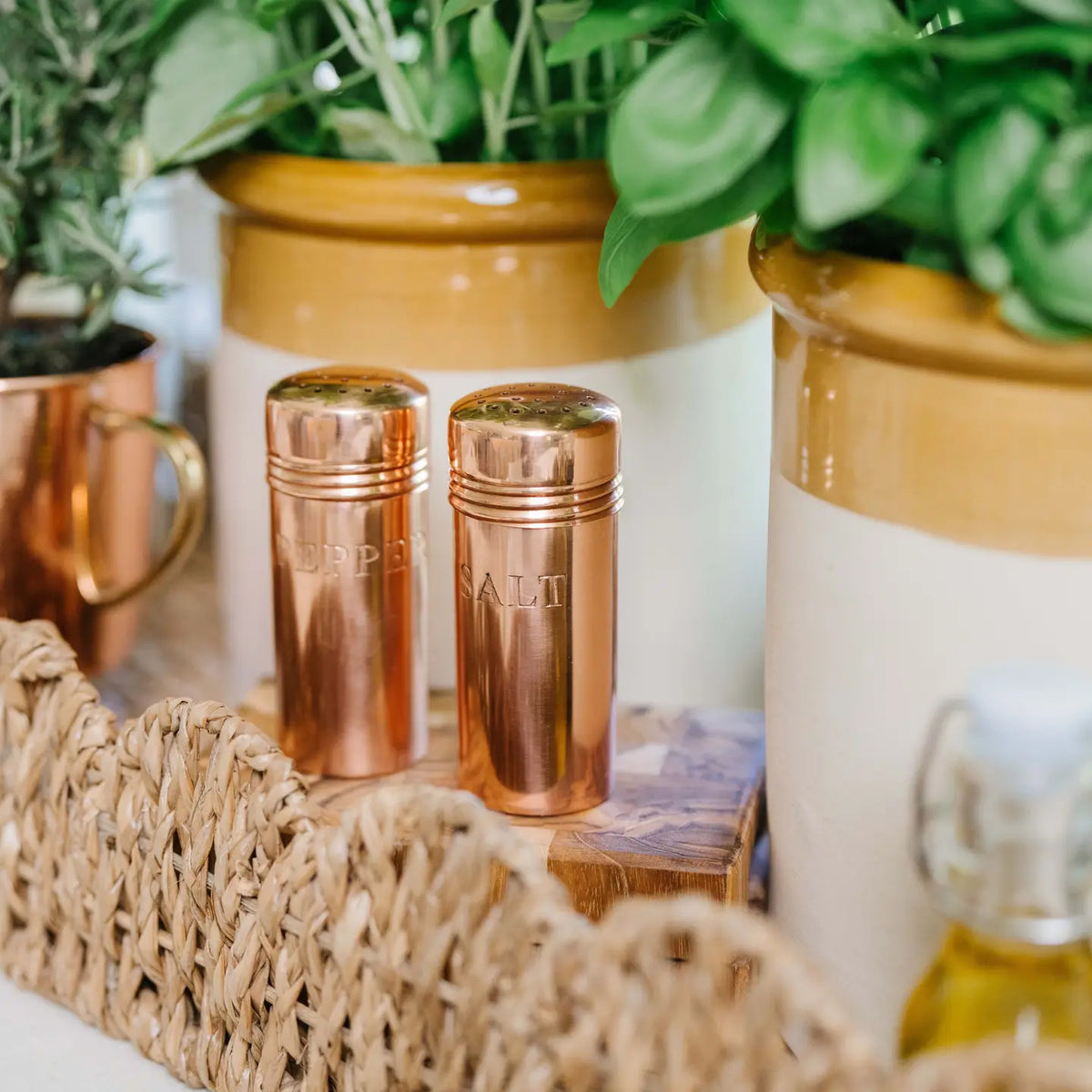 Copper Salt & Pepper Shakers S/2