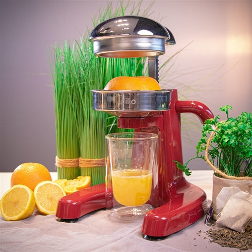 Cilio Positano, Citrus Press, Red
