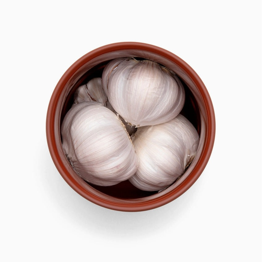 Terracotta Garlic Keeper