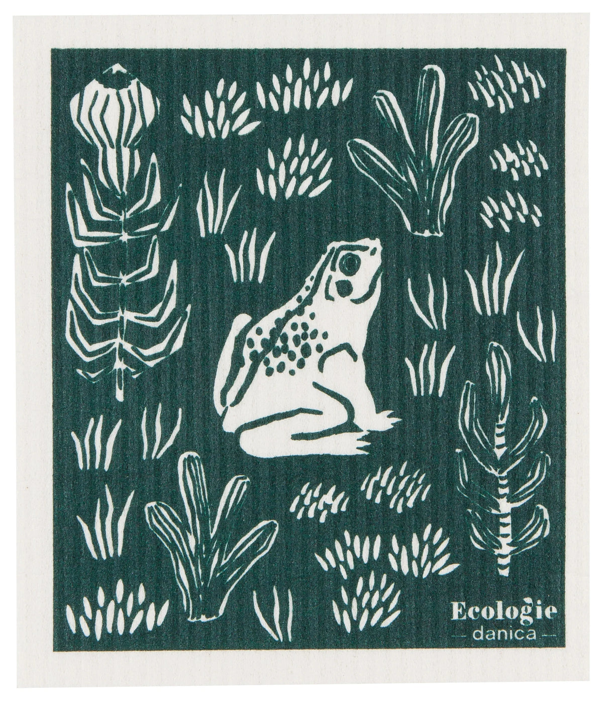 Swedish DC Boundless Frog